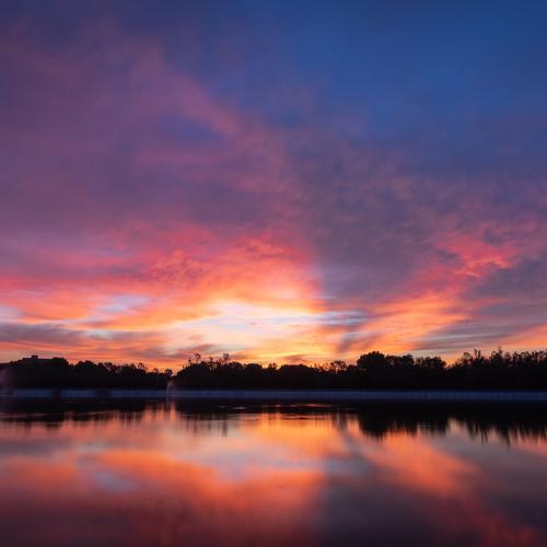 Amazing Dawn