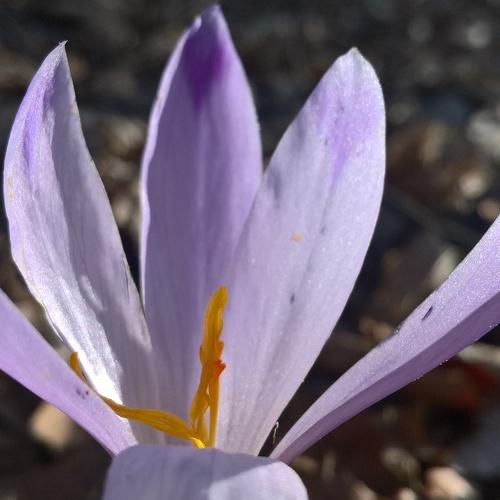 Photo #3090893