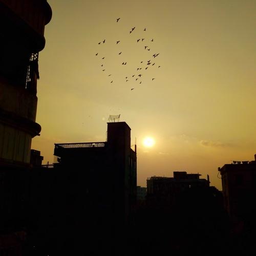 good evening