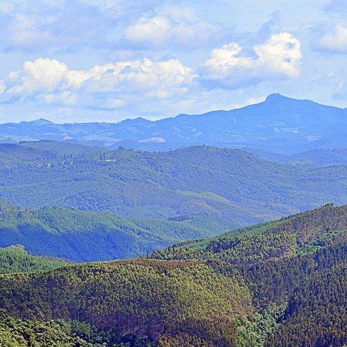 Pedra Redonda