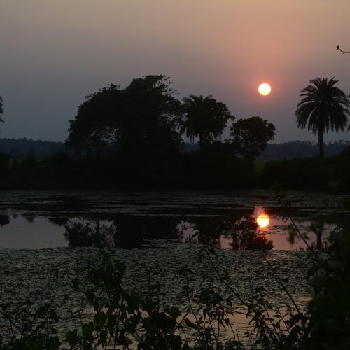 Beauty of Sunset