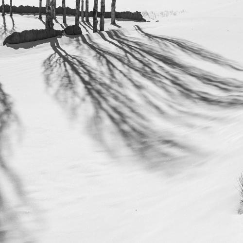 Cold Eye