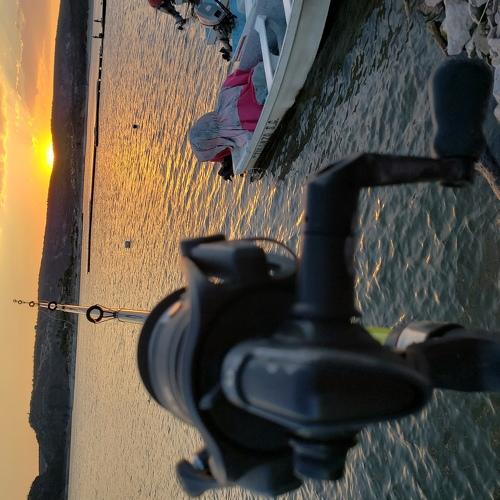 fishing the sunshine