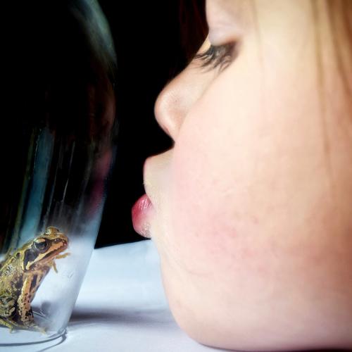 The Princess and the Frog