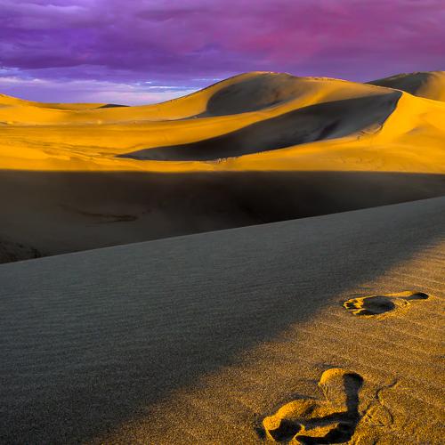 human trail