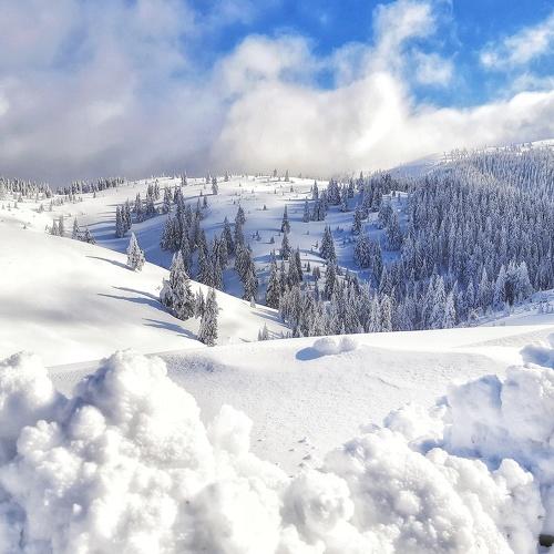 Ciucaş Mountains - Romania
