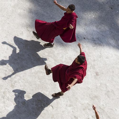 Photo #3097775