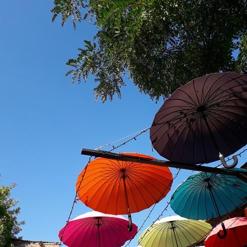 Photo #3098264
