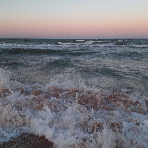 Photo #3098270