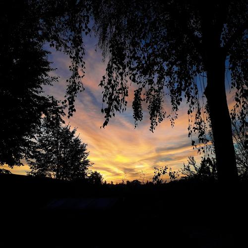 Photo #3098273
