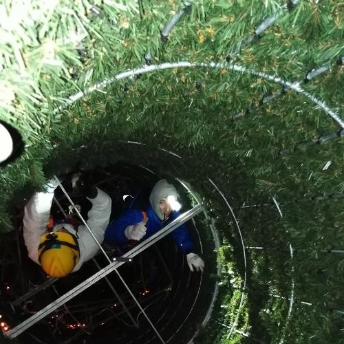 Photo #3098762