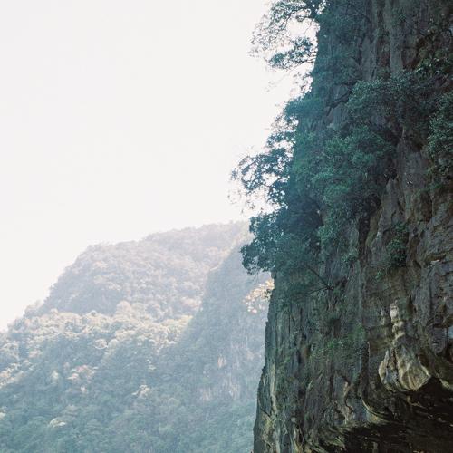 Phi-Phi islands