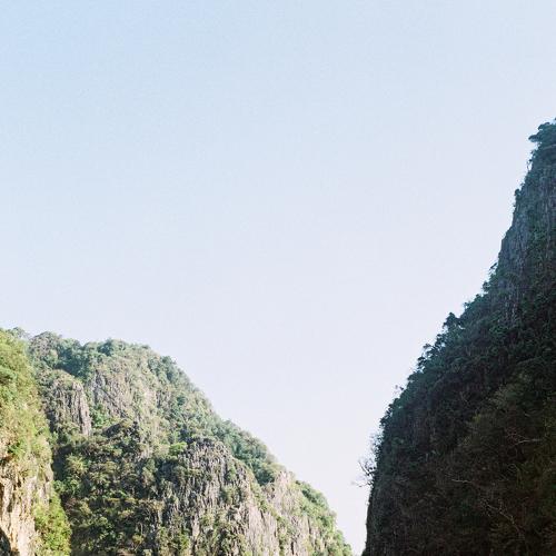 the cove