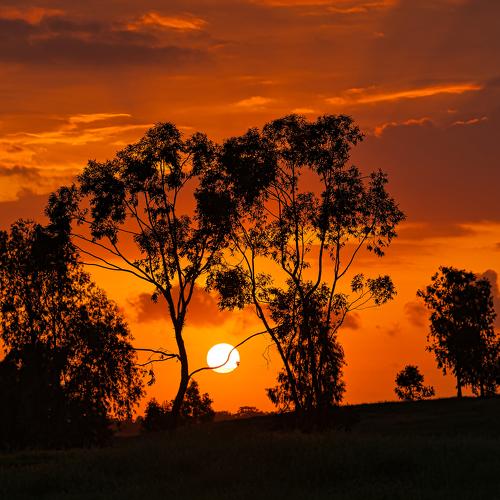Sunset near Ruhama.