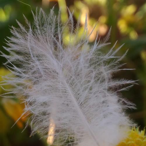 Macro click with mobile