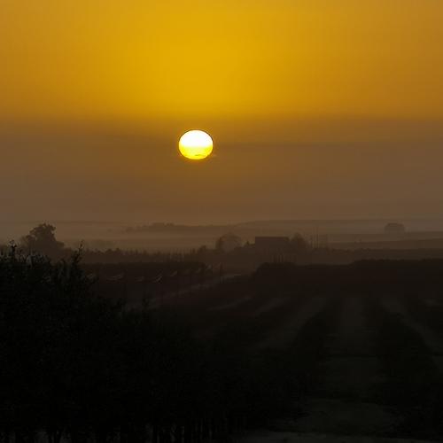 Nascer-do-sol com novoeiro