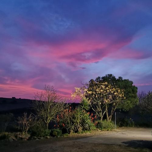 Noite home