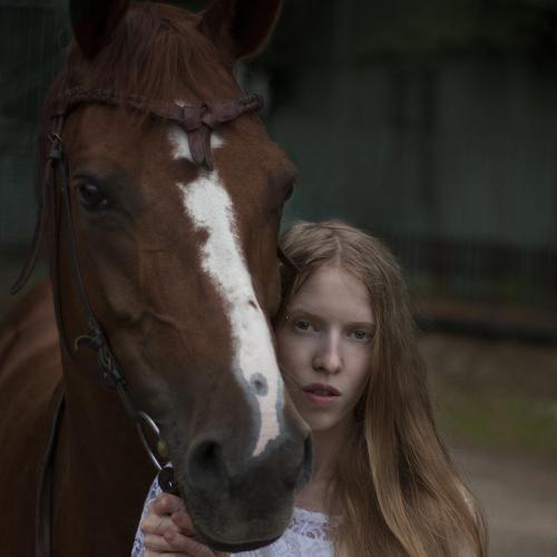 Photo #3105318
