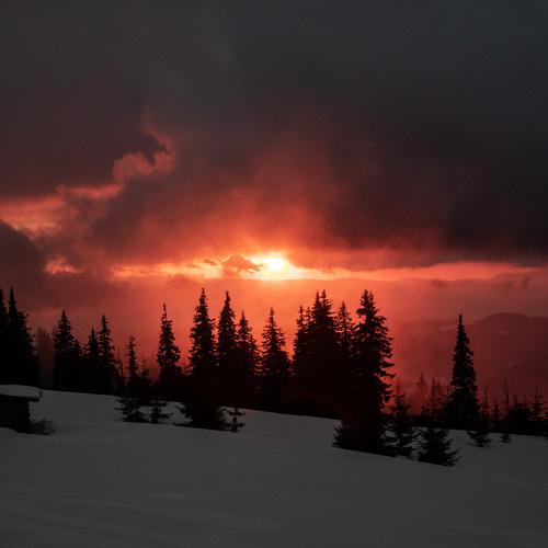 The uniqueness of sunset.
