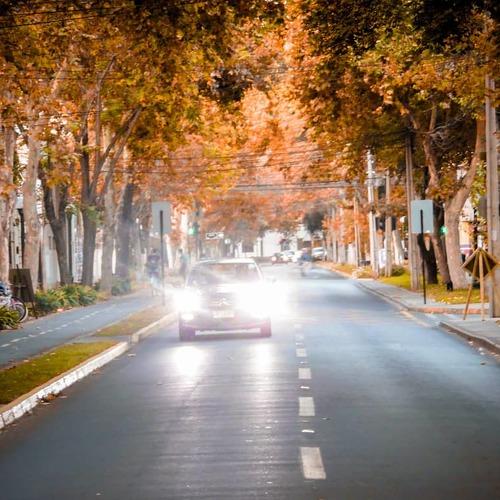 Tardes de Otoño