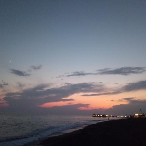 Photo #3106806
