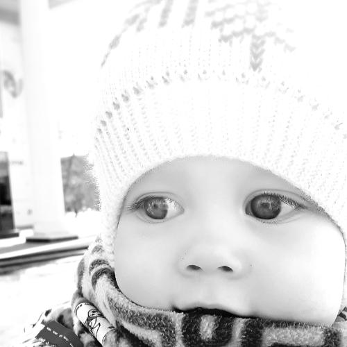 Photo #3107579
