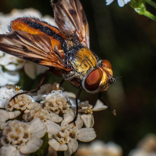 Photo #3107656