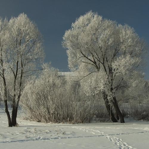 Spring, March 2018