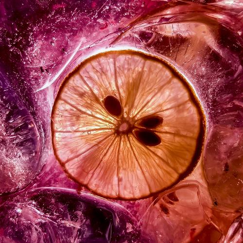 Lemon slice