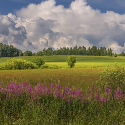 Июльский день.