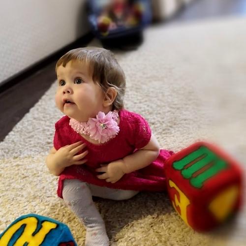 Photo #3110924