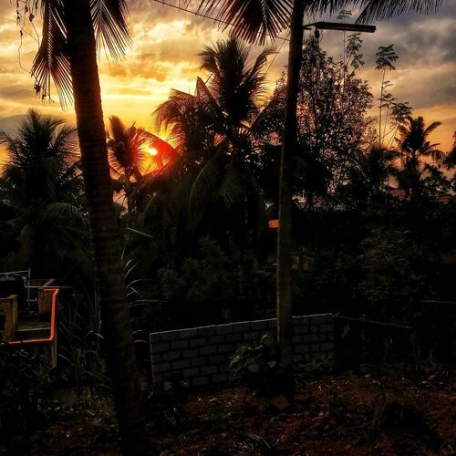 Nature's beauty