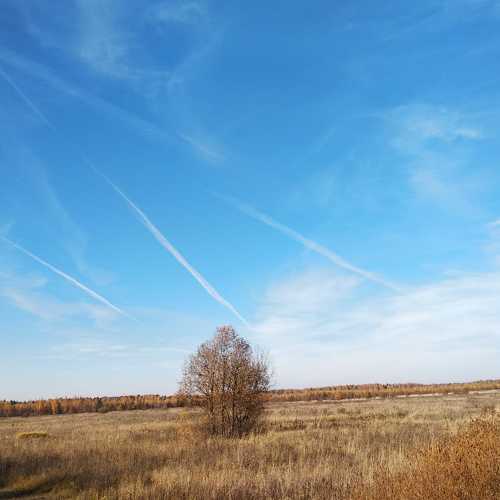 Небо в полоску