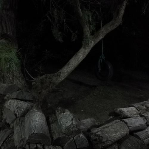Hondura nocturna