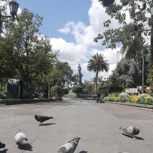 Parque Montalvo