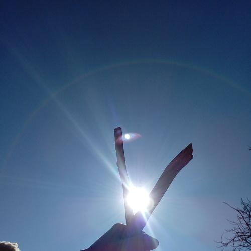 Photo #3114510