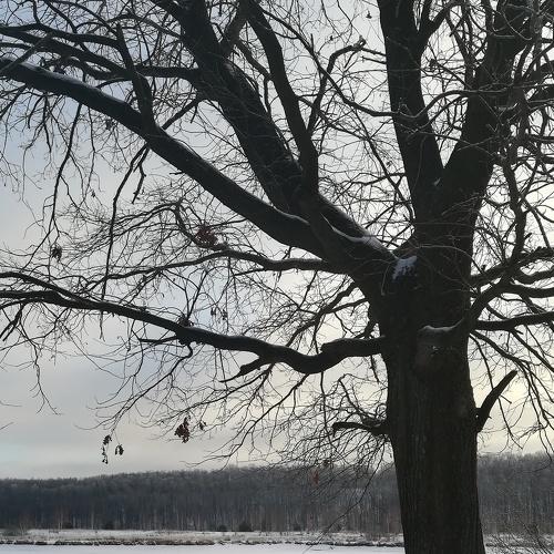 Зима