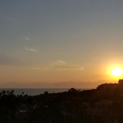 Photo #3116777