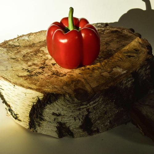 Photo #3117598