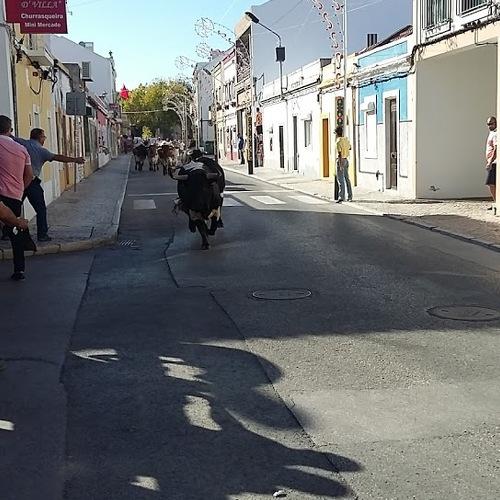 Largada de Toiros