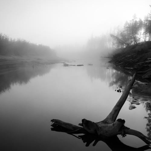 Photo #3119400