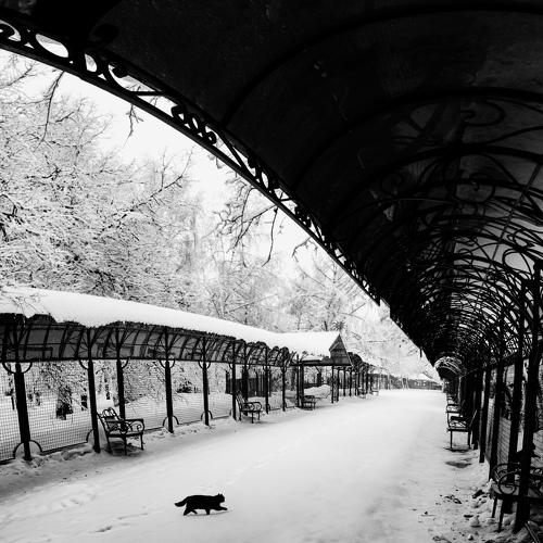 Клякса