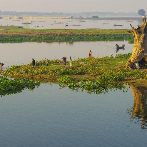 Fishing on lonely tree