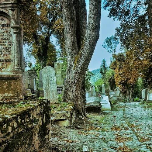 Vampires cemetery