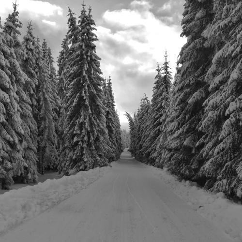 Winter