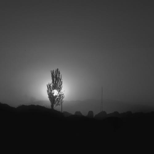 Photo #3120049