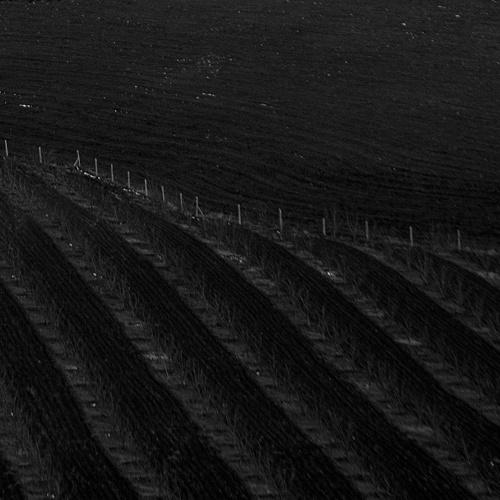 Photo #3120052