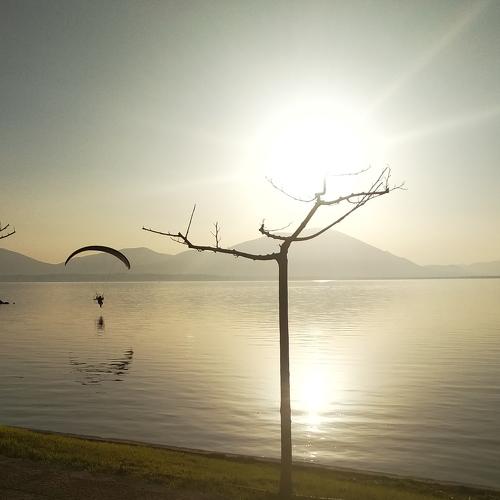 Photo #3120314