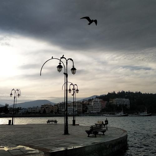 Photo #3120358