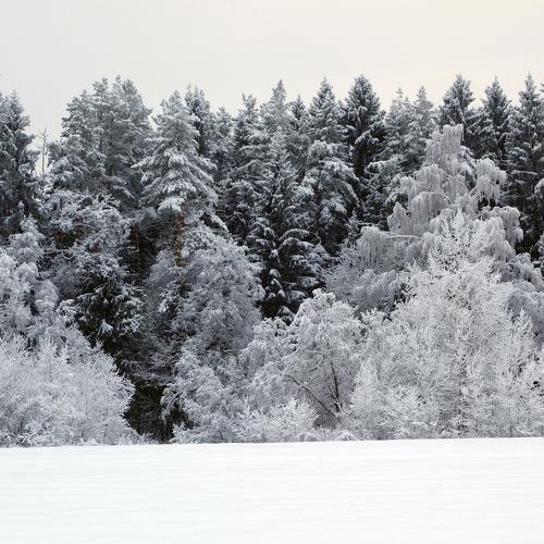 winter view